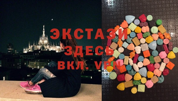 прущие грибы Корсаков