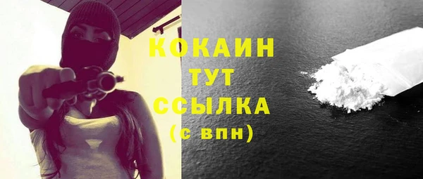 стаф Коряжма