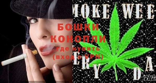 стаф Коряжма