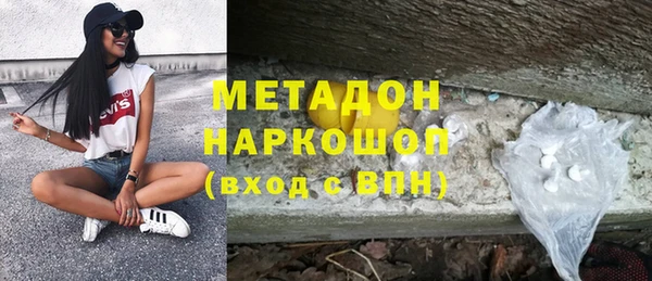 прущие грибы Корсаков