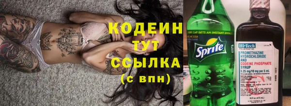 прущие грибы Корсаков