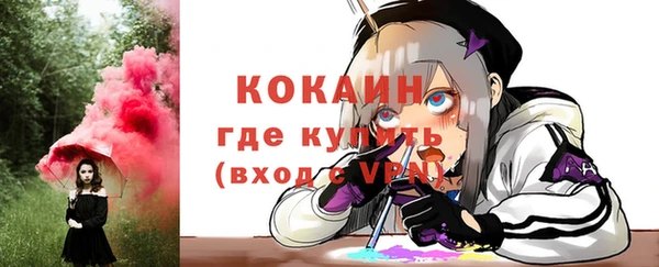 прущие грибы Корсаков