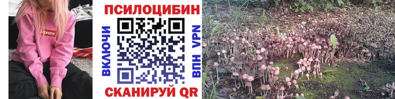 blacksprut вход  Крым  Галлюциногенные грибы GOLDEN TEACHER  где купить наркотик 